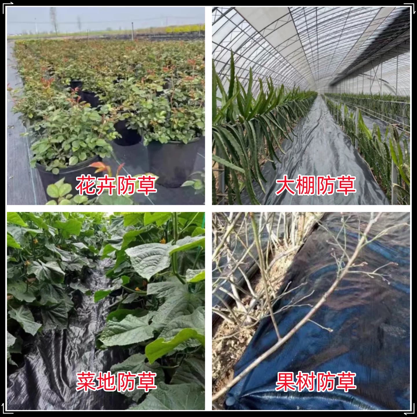 五家渠市农用薄膜防草布 - 推荐
