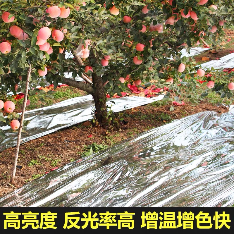 五家渠市塑料薄膜果树反光膜 - 排名